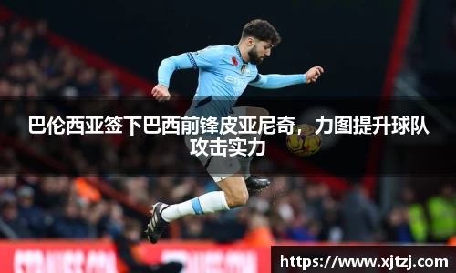 博鱼体育