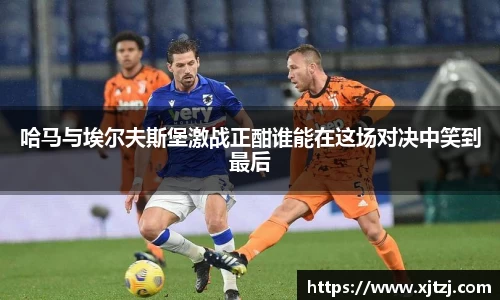 博鱼